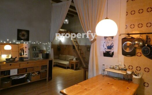 Piso de 1 hab, vestidor, cocina, baño y aseo Poble-sec Barcelona